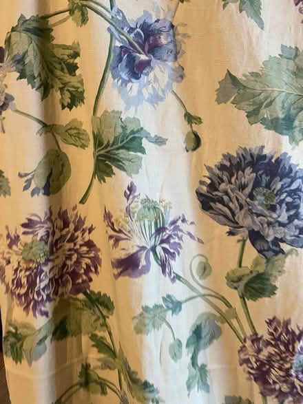 Photo of free North Common area ... three Laura Ashley curtains (The Batch) #2