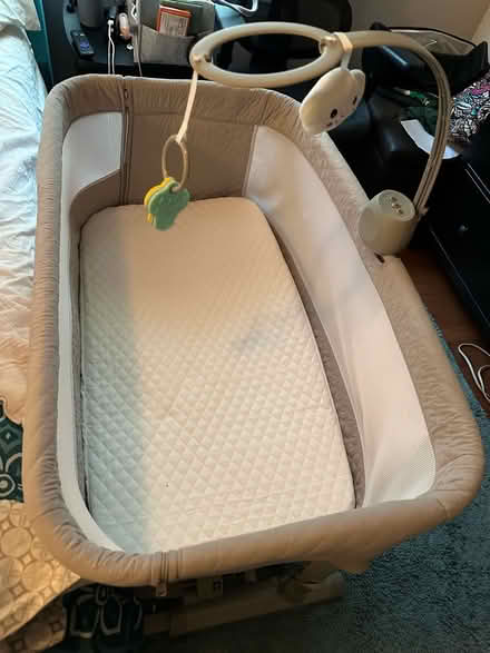 Photo of free Bassinet (Burke/West Springfield) #1