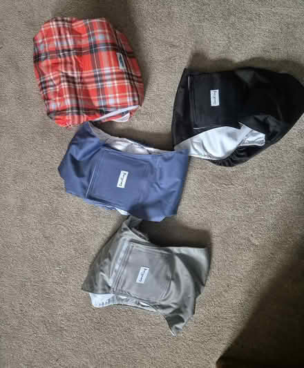 Photo of free Dog belly bands (Rainbow Hill WR3) #1