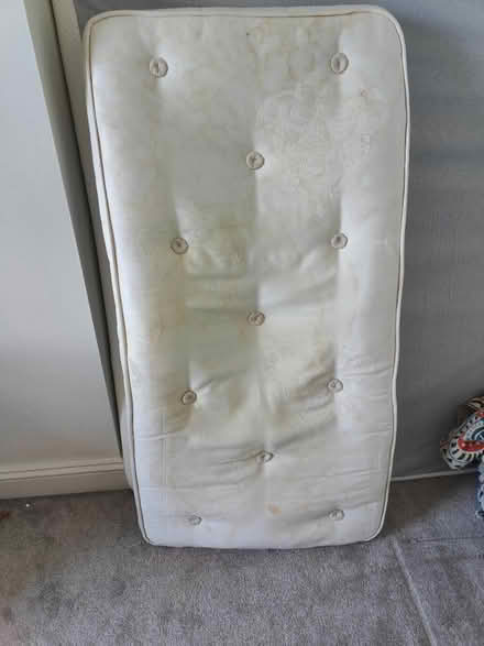 Photo of free Cotbed (Tn12) #1
