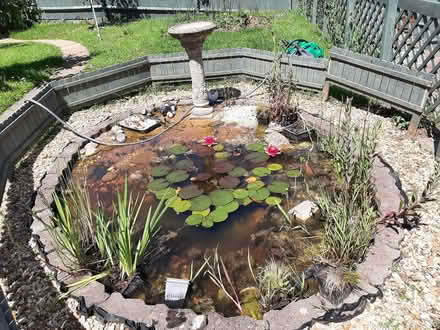 Photo of free Garden pond (Chippenham SN15) #1