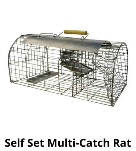 Photo of Humane rat trap (West Hill TN34) #1