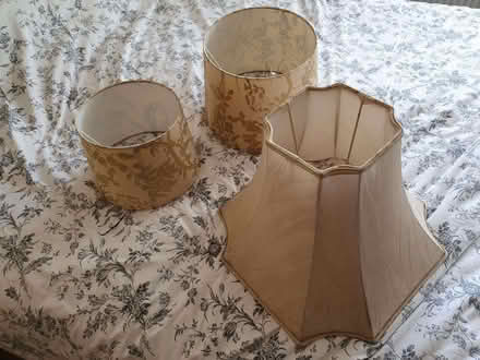 Photo of free Lamp shades (Gosport PO13) #1