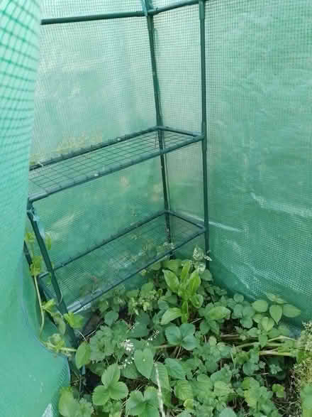 Photo of free Walk-in mini-greenhouse, one broken zip (Cold Harbour OX1) #1