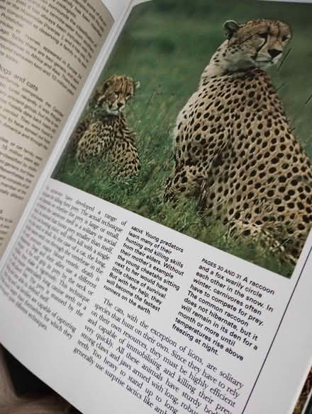 Photo of free Animal encyclopedias, 35 volumes (Chapeltown S35) #3