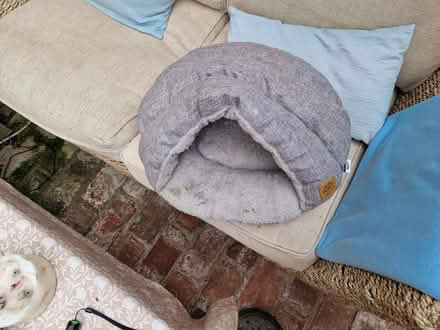Photo of free Small fluffy grey cat bed (Matlock DE4) #1