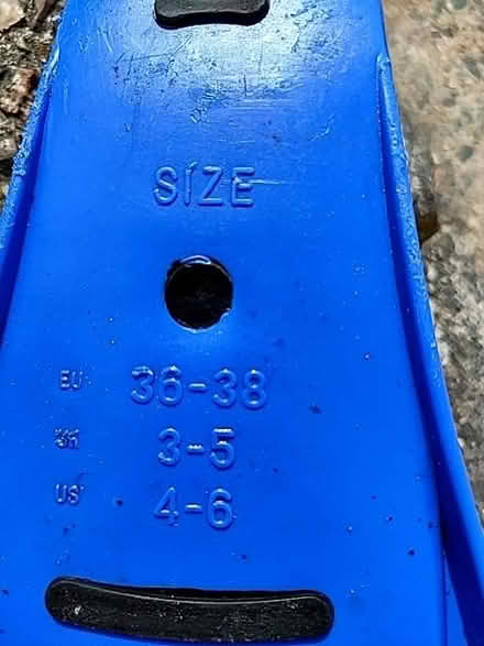 Photo of free Flippers, adult 3-5 shoe size (Chelmsford CM1) #2