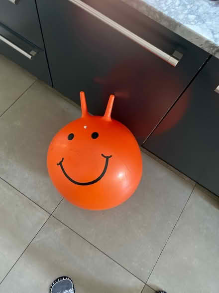 Photo of free Space hopper (W4 Chiswick) #1