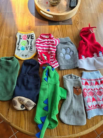 Photo of free Small dog clothes (livonia) #1