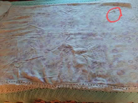 Photo of free Former beach towels (Farmington Hills) #2