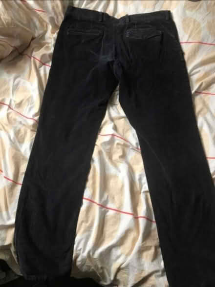 Photo of free 34” Men’s French Connection Cords (hornsey N8) #1