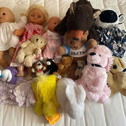 Photo of free Sack of Soft Toys & Dolls (CT3) #1