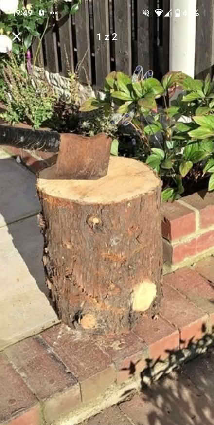 Photo of Wood (Yate BS37) #1