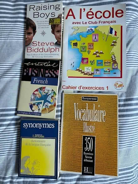 Photo of free French learning books, Raising Boys (Lower Kingswood KT20) #1