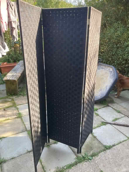 Photo of free Room divider screen (Clive Vale TN35) #1