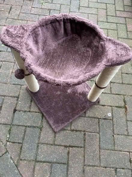 Photo of free Cat climbing tower and scratch post (Thames Ditton / Kingston) #1