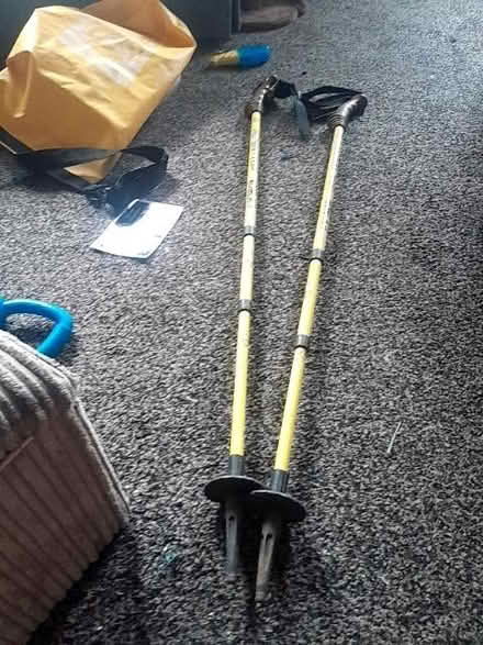 Photo of free Walking poles (Odd Down) #1