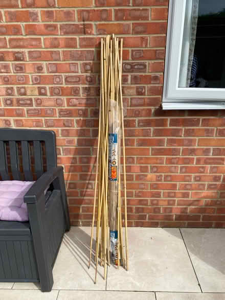 Photo of free Bamboo Plant Support Garden Canes (Bassingham LN5) #1