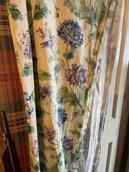 Photo of free North Common area ... three Laura Ashley curtains (The Batch) #4