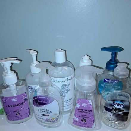 Photo of free Empty Soap dispenser bottles (Allison Park-- Hampton) #1