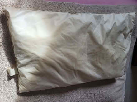Photo of free Two artifical fibre pillows (Hotwells BS8) #2