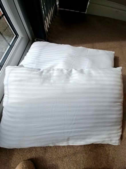Photo of free 2 pillows (Banners Gate B73) #1