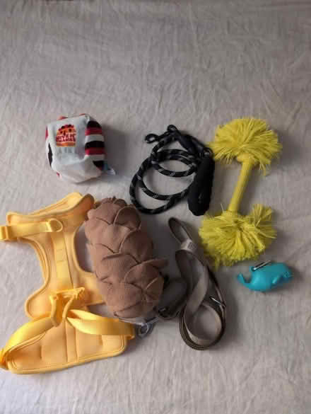Photo of free Misc dog items (Gramercy Park) #1