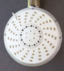 Photo of free Shower Head and hose (East Horsley) #3