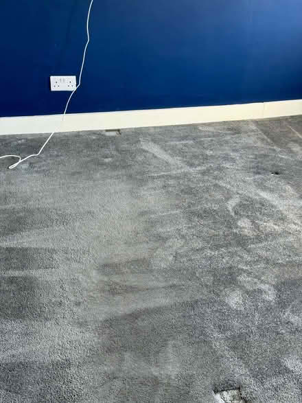 Photo of free Grey Saxony carpet and underlay (DA7) #4