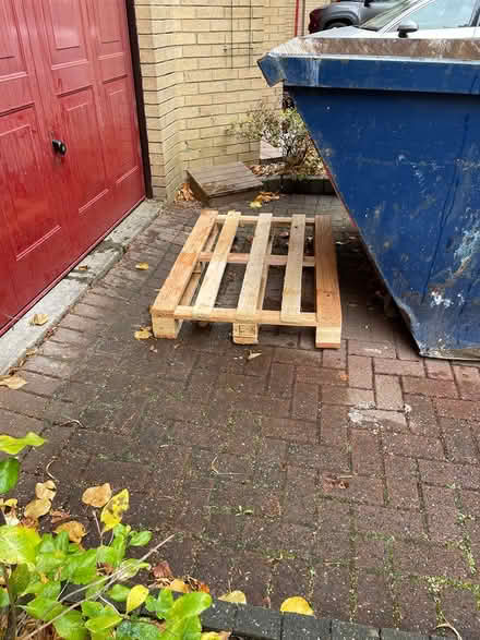 Photo of free Small Pallet (Glasgow G12) #1
