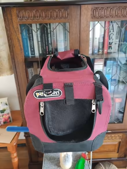 Photo of free Pet Carrier (St Just TR19) #2