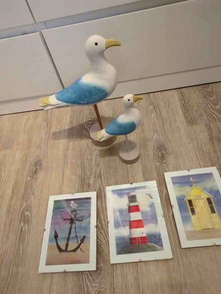 Photo of free Beach Themed Items (Kidsgrove ST74) #1