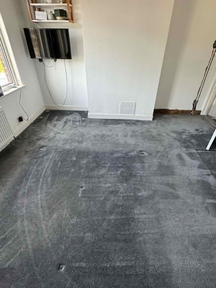Photo of free Grey Saxony carpet and underlay (DA7) #1
