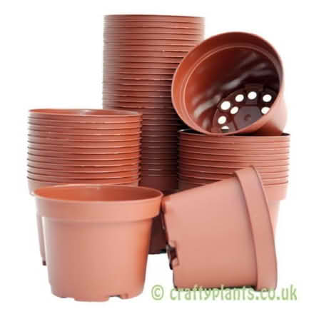 Photo of plastic plant pots (SW2) #1