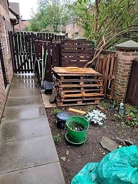 Photo of free Bonfire wood (Seacroft LS14) #1