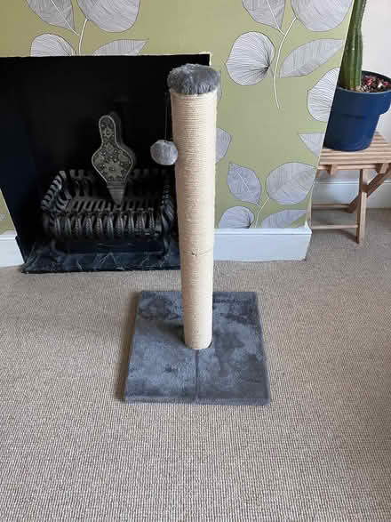 Photo of free Cat scratching post (Enfield EN2) #1