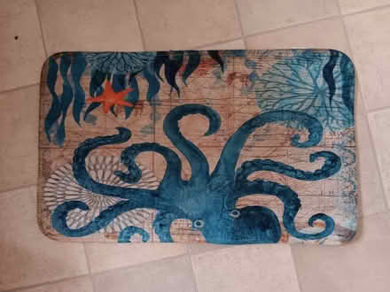 Photo of free Bathmat (Alpington NR14) #1
