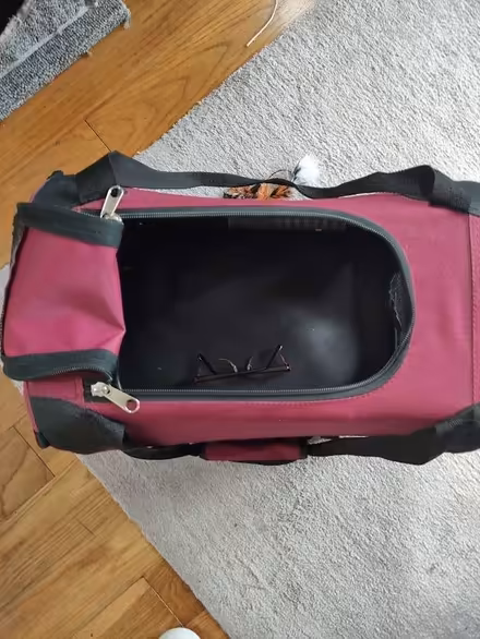 Photo of free Pet Carrier (St Just TR19) #1
