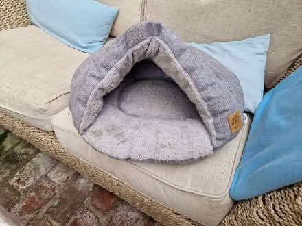 Photo of free Small fluffy grey cat bed (Matlock DE4) #2