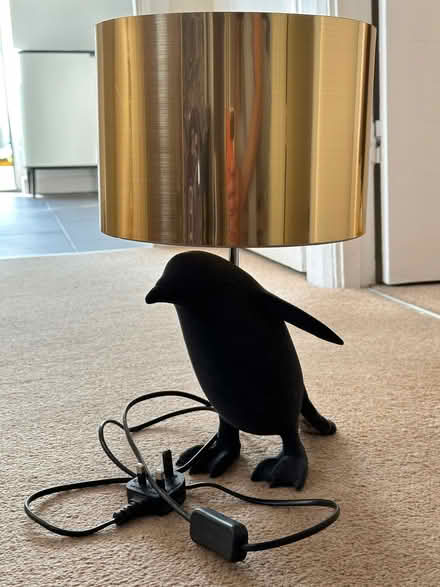 Photo of free Penguin Lamp (Kings Langley WD4) #2