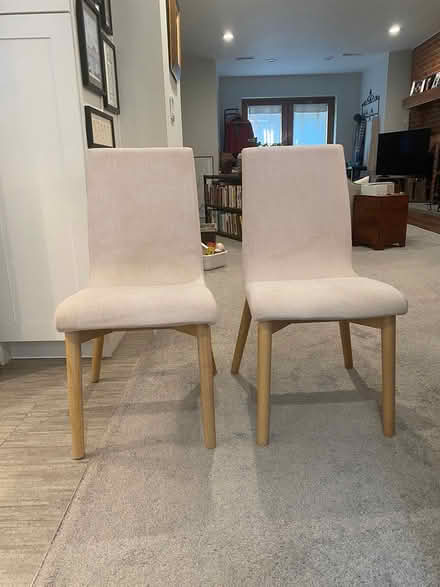 Photo of free Two upholstered dining chairs (Dupont Circle) #1