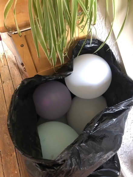 Photo of free Blown up balloons (Earlham NR5) #1
