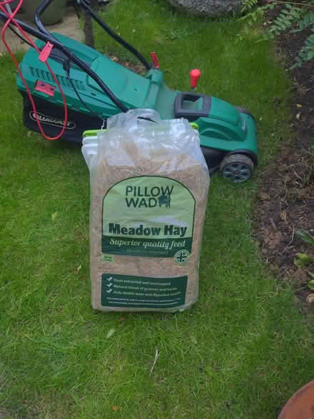 Photo of free Meadow hay for rabbit (Deddington OX15) #1