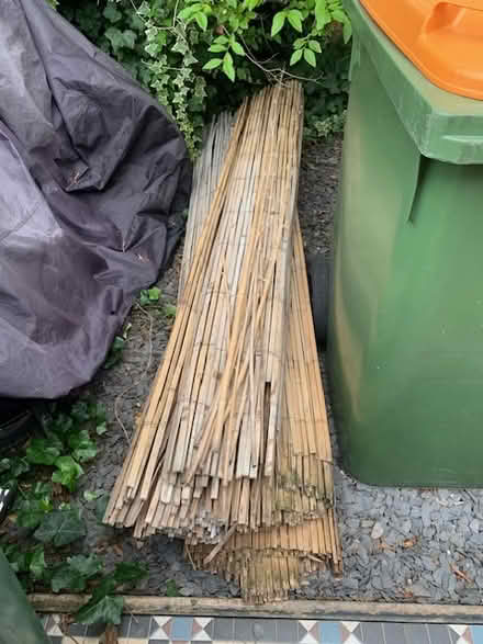 Photo of free bamboo fencing (Forest Gate) #1