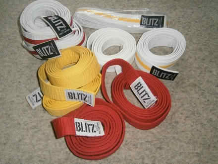 Photo of free 9 x Blitz Martial Arts Belts 230cm (Karate, Judeo etc..) (Kedleston Road DE22) #1