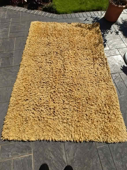 Photo of free Rug (RG31 Tilehurst) #1