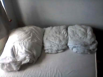 Photo of free Double Duvet and two pillows (Burgess Hill RH15) #1