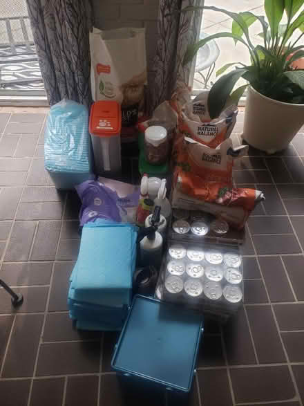 Photo of free Cat supplies bonanza (Stone Mountain / Smoke Rise) #1