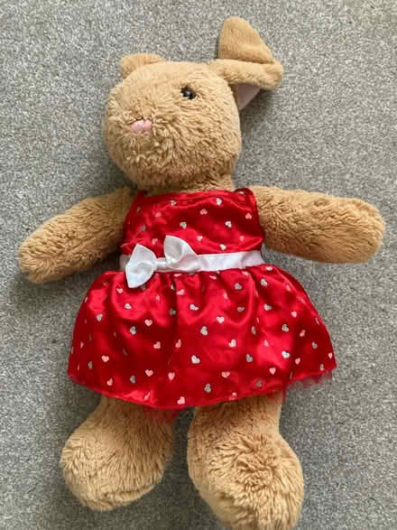 Photo of free Build a bear cat and bunny (Ringwood) #3