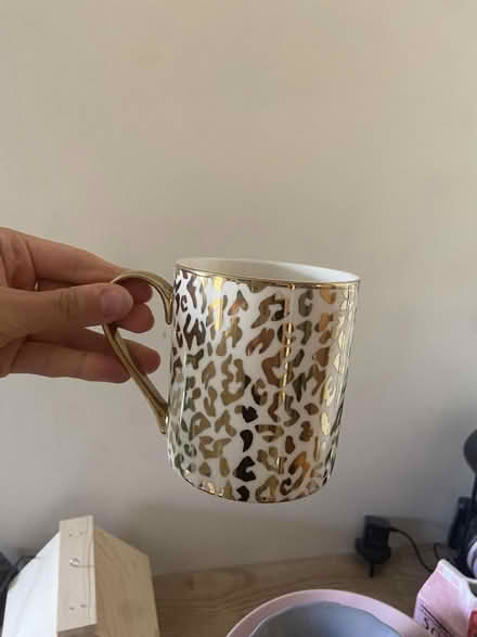 Photo of free Mixed Plates/Glasses/Mugs (Finnieston, G3) #3